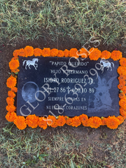 Laser Etching Restoration Services