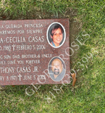 Ceramic Picture Installation & Replacement Services