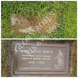 Bronze Re-Gold & Seal Service