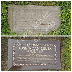 Bronze Re-Gold & Seal Service