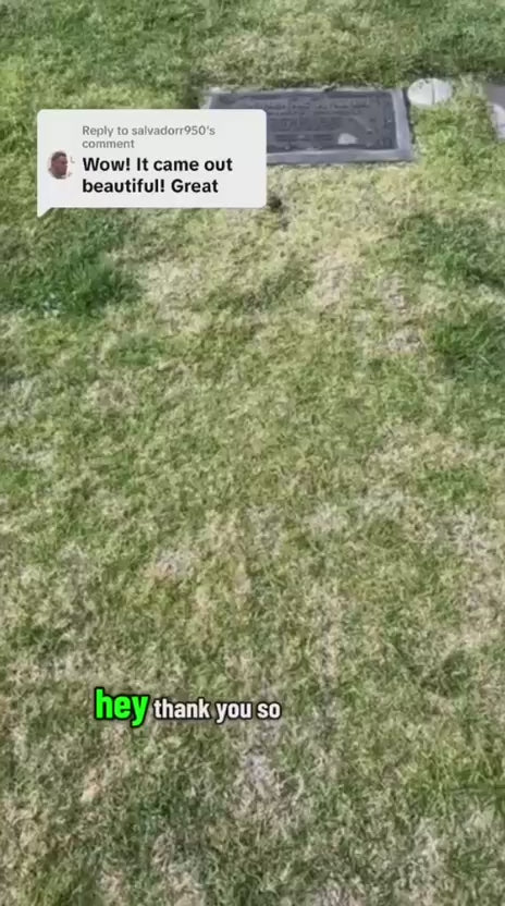 Bronze Re-Gold & Seal Service